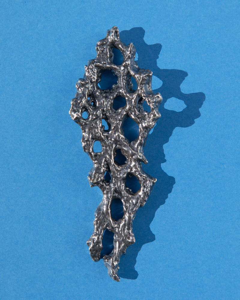 Cholla Cactus Pendant