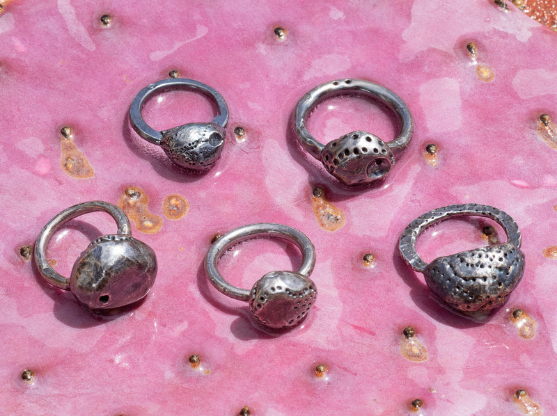 Echos of Music Collection