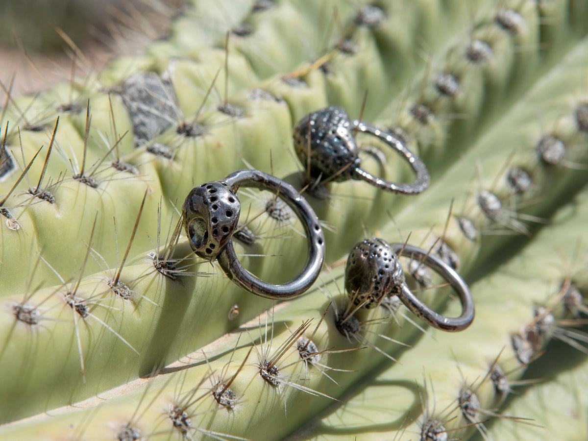 Series — Concert Ring